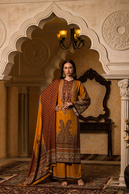 Pashmina Stitched 165