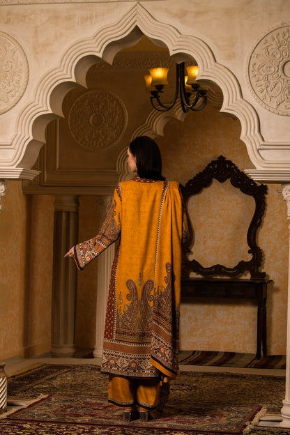 Pashmina Unstitched 165