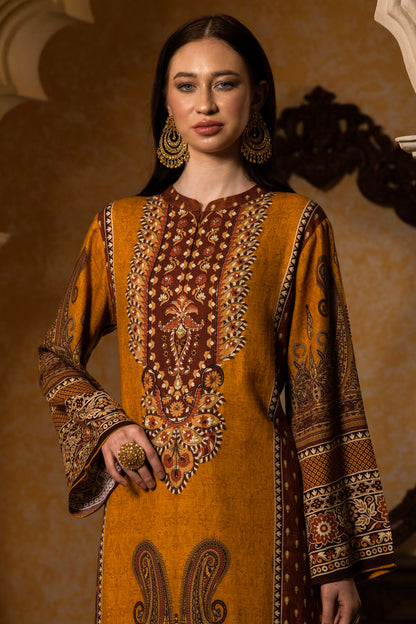 Pashmina Unstitched 165